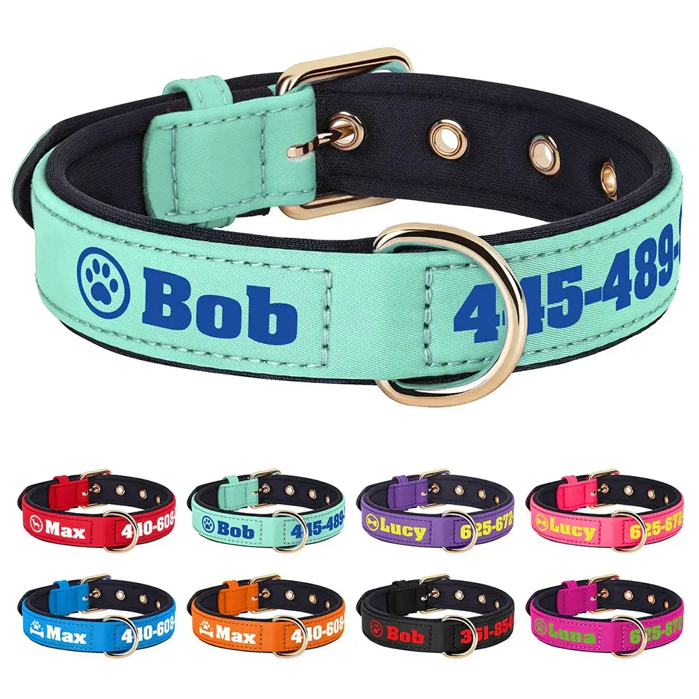 Collier pour chien personnalisé
