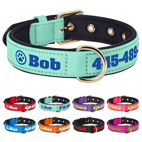 Collier pour chien personnalisé