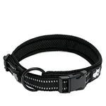Truelove Pet Dog Collar - black / S / United States