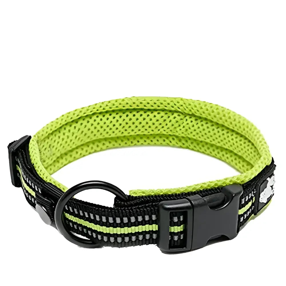 Truelove Pet Dog Collar - neon yellow / M / United States
