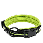Truelove Pet Dog Collar - neon yellow / M / United States
