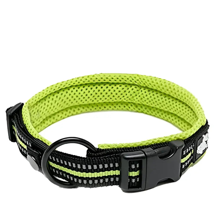 Truelove Pet Dog Collar - neon yellow / M / United States