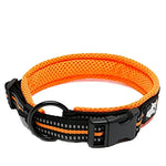 Truelove Pet Dog Collar - orange / XS / spain