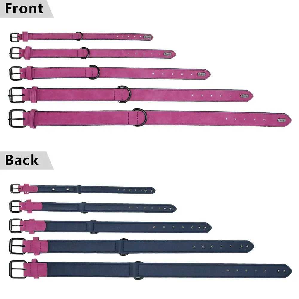 Collier pour grand chien
