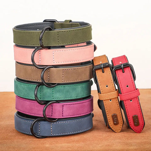 Collier pour grand chien