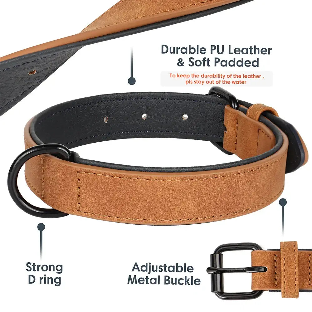 Collier pour grand chien