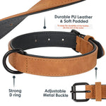 Collier pour grand chien