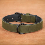 Collier pour grand chien - Dark Green / XL