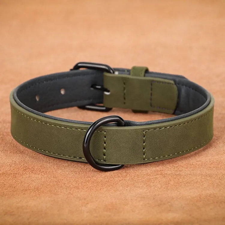 Collier pour grand chien - Dark Green / XL