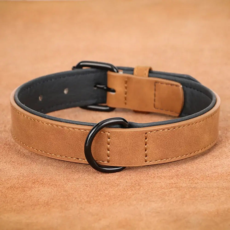 Collier pour grand chien - Light Brown / L