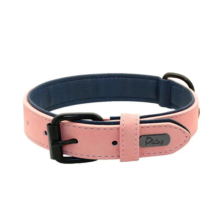 Collier pour grand chien - Pink / XL