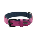 Collier pour grand chien - Purple / L