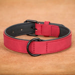 Collier pour grand chien - Red / XL