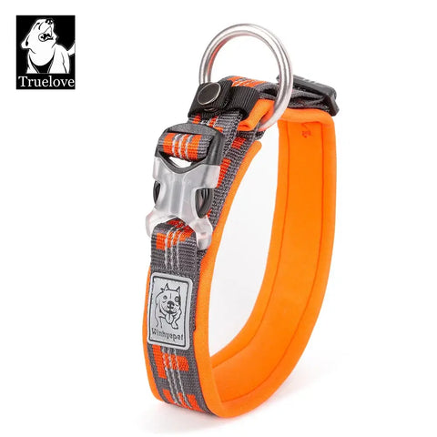 Collier réfléchissant pour chien