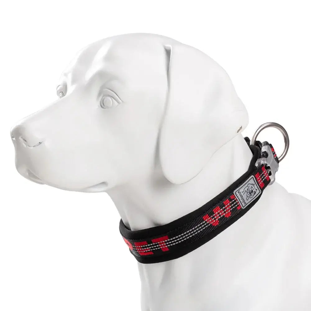 Collier réfléchissant pour chien