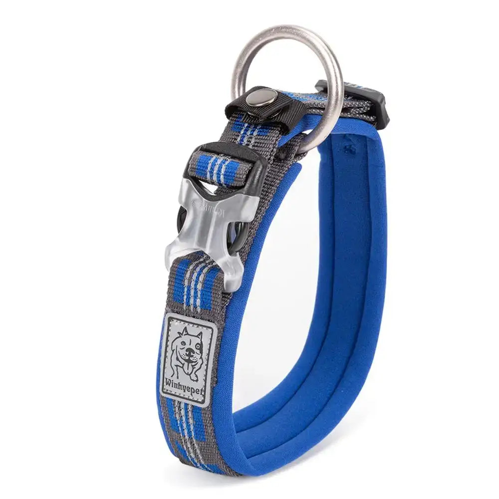Collier réfléchissant pour chien