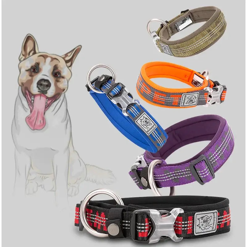 Collier réfléchissant pour chien