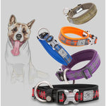 Collier réfléchissant pour chien