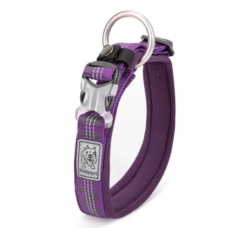 Collier réfléchissant pour chien - Purple / XS / China Mainland