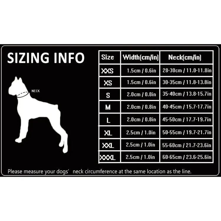 Collier réfléchissant pour chien