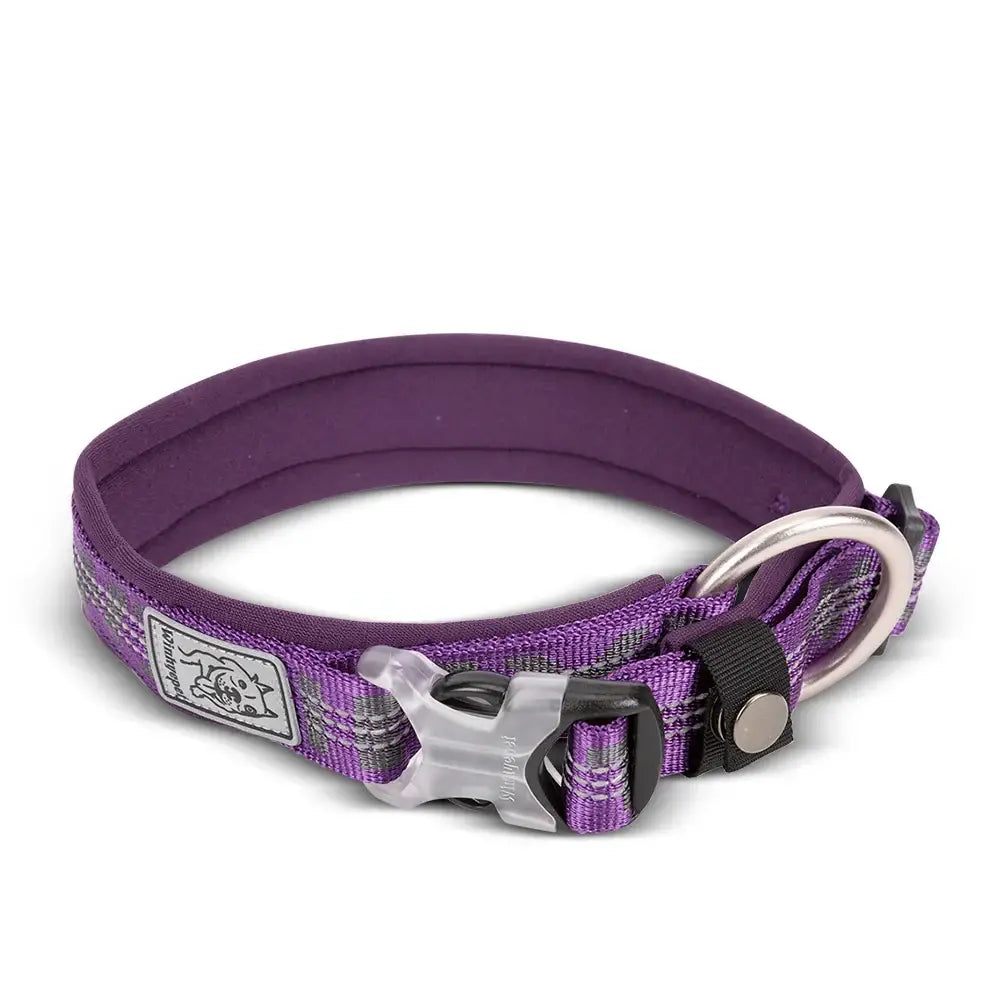 Collier réfléchissant pour chien