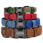 Colliers pour chiens en nylon