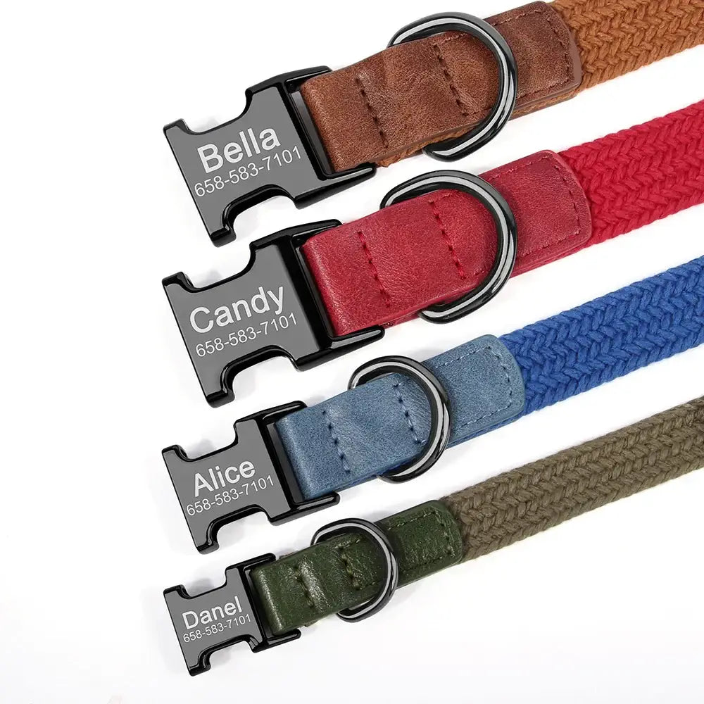 Colliers pour chiens en nylon