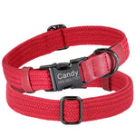 Colliers pour chiens en nylon