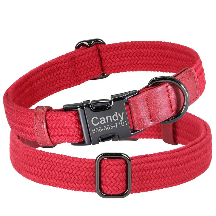 Colliers pour chiens en nylon