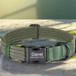 Colliers pour chiens en nylon - Green / L