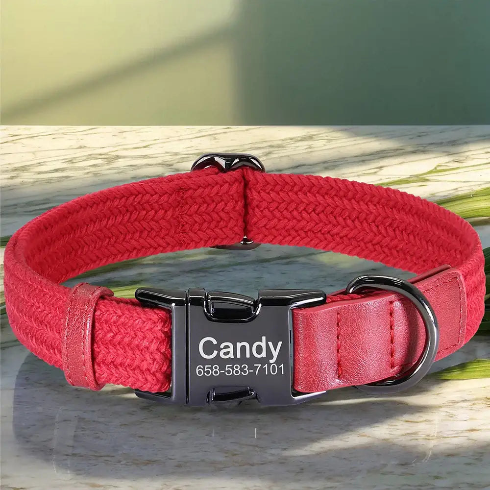 Colliers pour chiens en nylon - Red / L