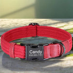 Colliers pour chiens en nylon - Red / L