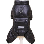 Combinaison chaude pour chien - Luck black / XXL