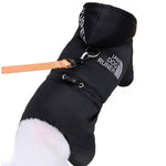 Combinaison chaude pour chien