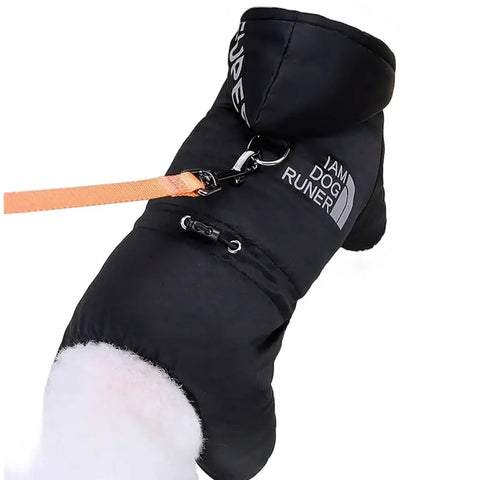Combinaison chaude pour chien