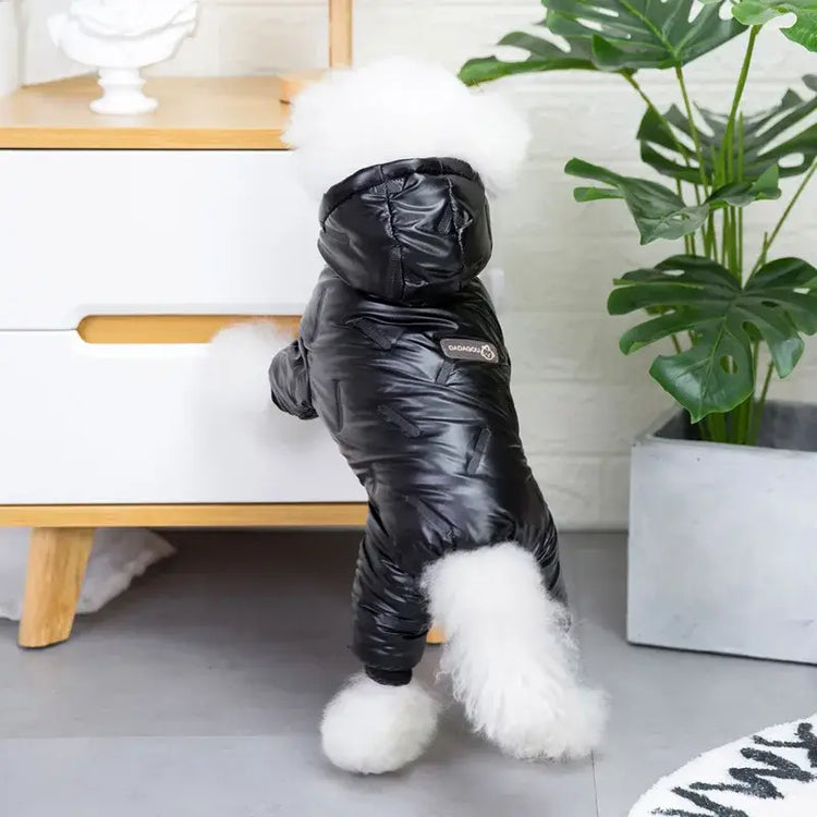 Combinaison pour chien - black / M