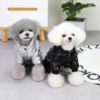 Combinaison pour chien