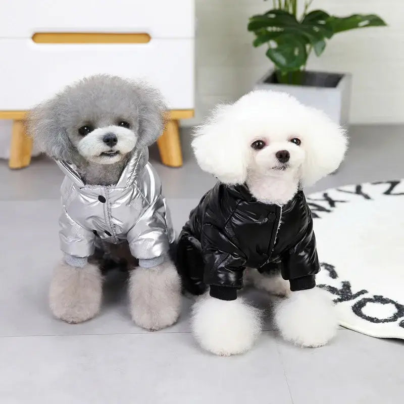 Combinaison pour chien