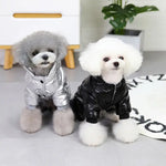 Combinaison pour chien