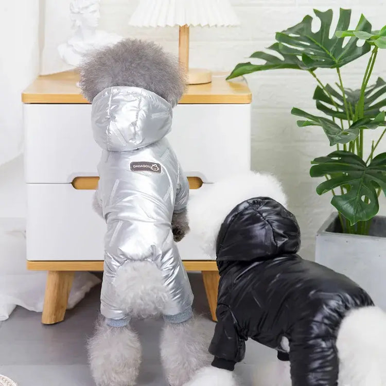 Combinaison pour chien