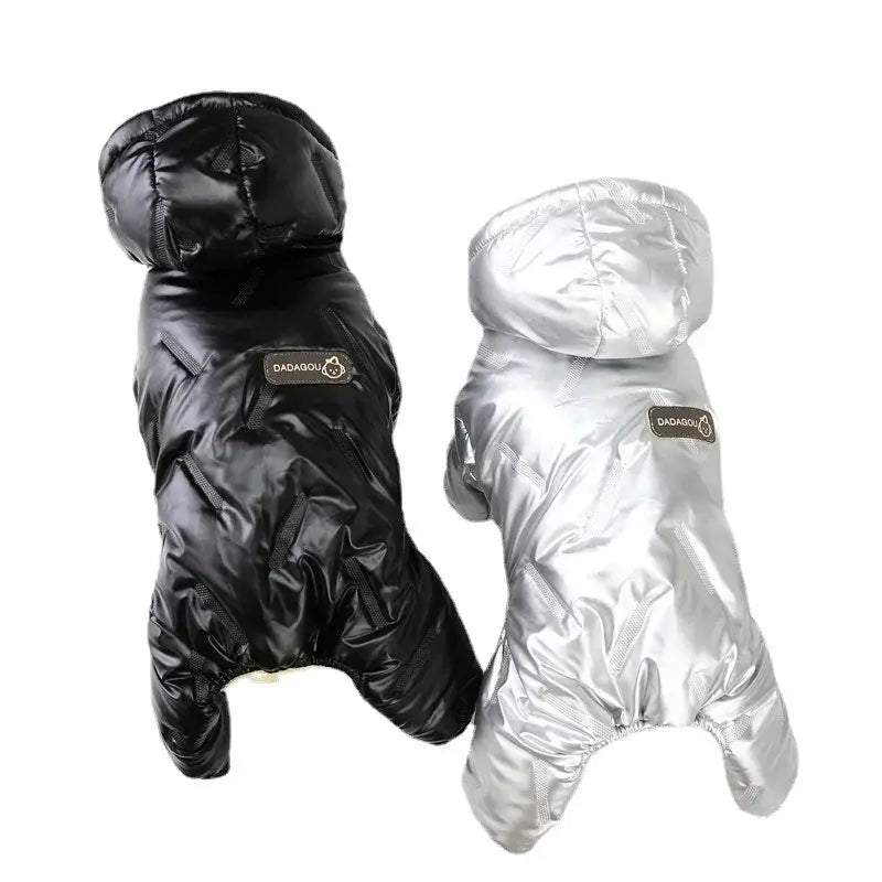 Combinaison pour chien