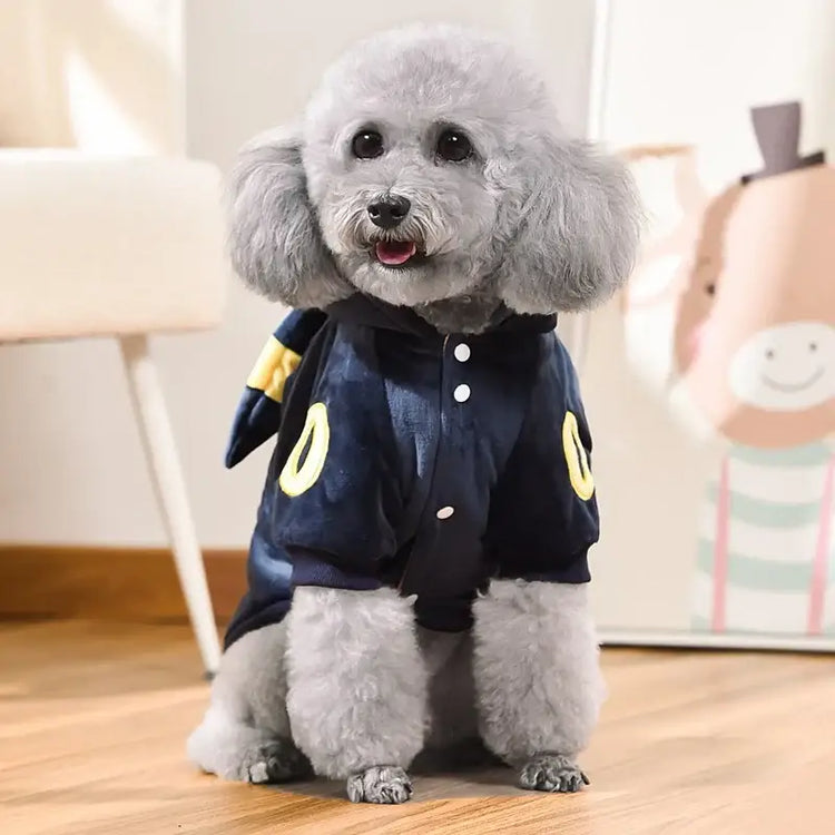 Costume d’Halloween noir