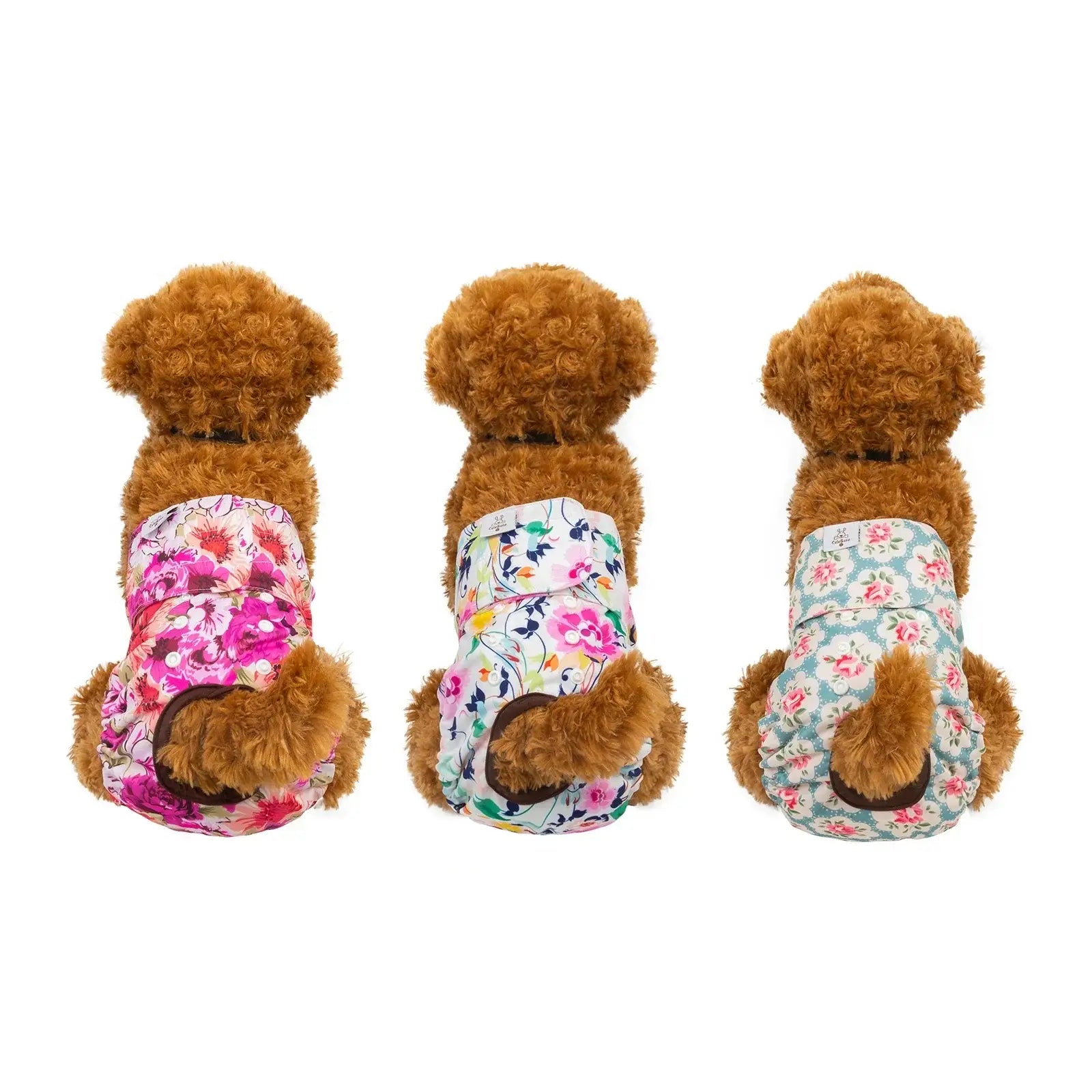 Couches CuteBone pour chiennes