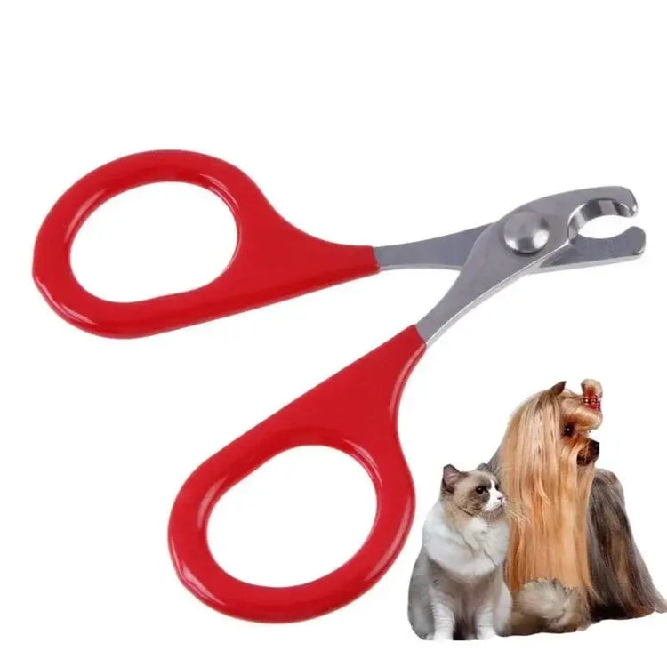 coupe-ongles pour chats