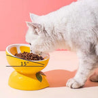 Cute Fruit Shape Cat Bowl High Quality Ceramics Cat Bowl Pet Supplies Cat Food And Water Feeder Pet Accessories