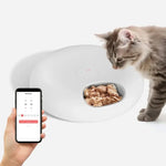 Distributeur automatique pour animaux - WiFI Feeder