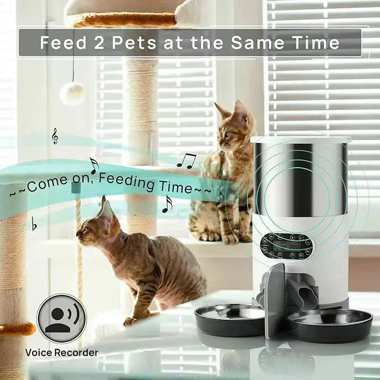 Distributeur automatique pour chat