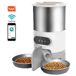 Distributeur automatique pour chat