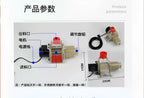 Pet Feeder Fully Automatic Timed Feeding 12/220 Volt DC Discharge Machine Remote for Chickens