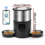 Distributeur croquettes chat Wi-Fi 4,5 L